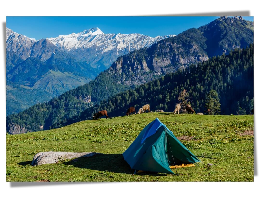 Camping in Himachal Pradesh