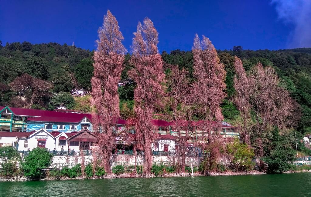 Naini Lake Shore with tall, slender trees