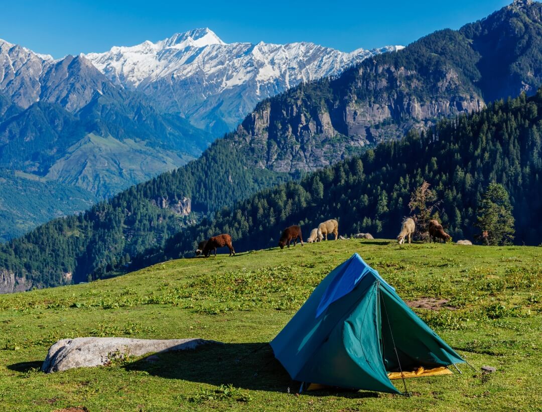 camping in himachal